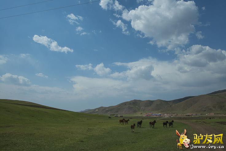 ���ɵ���Ⱥ